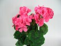 SZTUCZNA PELARGONIA W DONICZCE OSŁONCE PELARGONIE