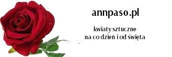  annpaso.pl 