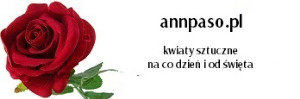  annpaso.pl 